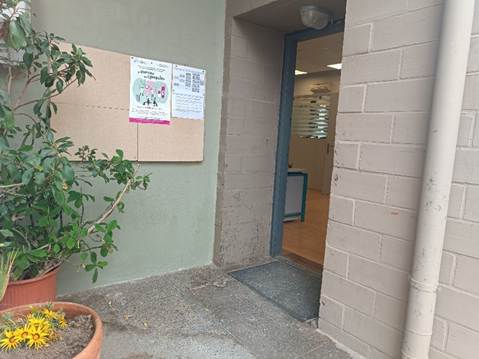 Πράσινοι και γκρι τοίχοι, φυτό, κίτρινα λουλούδια, πίνακας ανακοινώσεων, πόρτα.